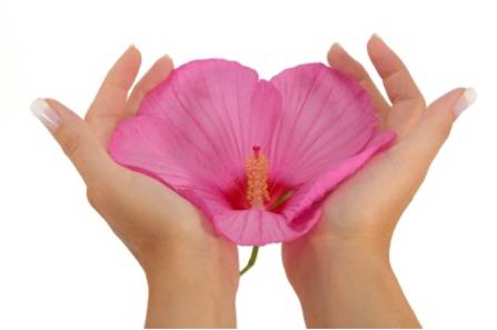 Zahnarztpraxis Pohle-Pfähler